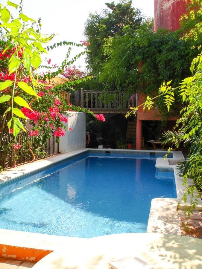 Navila Estudio En La Piscina Ибиса Екстериор снимка